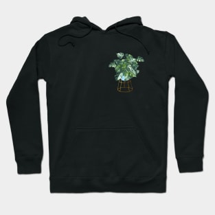 Monstera Variegated Plant in a Pot Hoodie